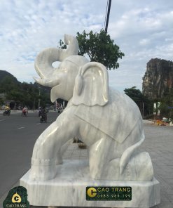 Voi đá SP003 2