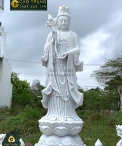 tuong tam the phat 1