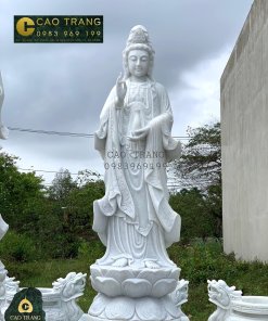 tuong tam the phat 3