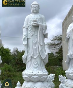tuong tam the phat 3 5