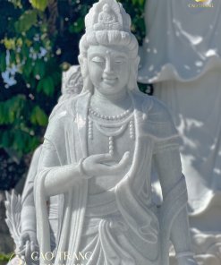Chung bao 4