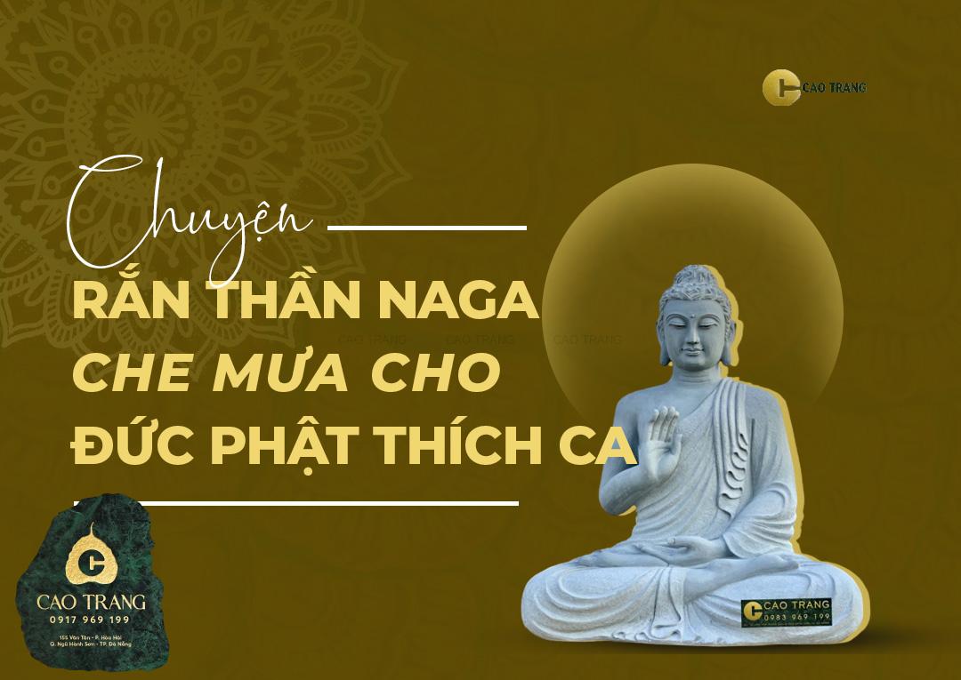 Chuyện rắn thần Naga che mưa cho Đức Phật Thích Ca