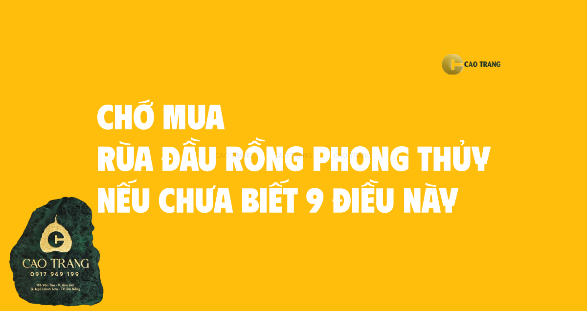 Những điều cần biết khi mua tượng rùa đầu rồng (long quy) phong thủy