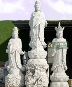 tuong quan am mau de 8