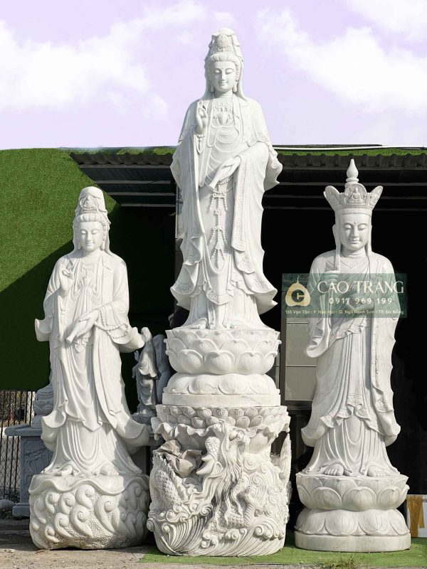 tuong quan am mau de 8