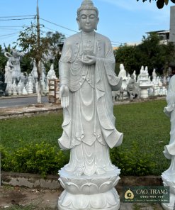 tuong a di da 2m51
