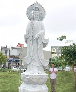tuong quan am dung mau 50