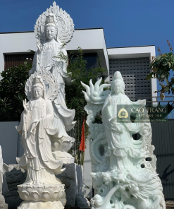 tuong quan am dung mau 63