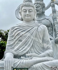 tuong thich ca ngoi cao 3m 2