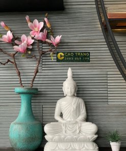 tuong thich ca tai cao trang da lam qua mau dep 4