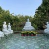 5 anh em kieu tran nhu 6