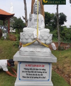 tuong 33 hoa than chua chanh giac 7