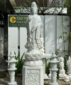 tuong quan am dung 2m
