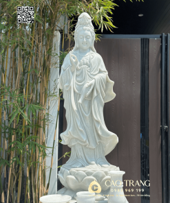 quan am tron cao 1 7 2