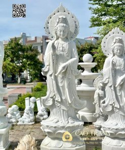 tuong quan am dung hao quang cao 2m5 2