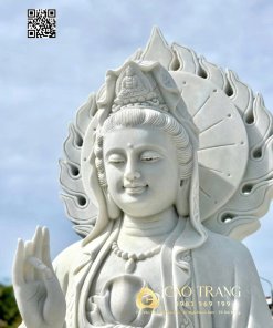 tuong quan am dung hao quang cao 2m5 5