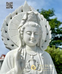 tuong quan am dung hao quang cao 2m5 6