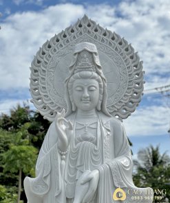 tuong quan am dung hao quang cao 4 4 scaled