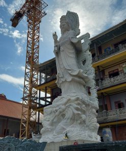 tuong quan am cuoi rong cao 9m