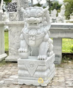 Lan cao 1m2 2