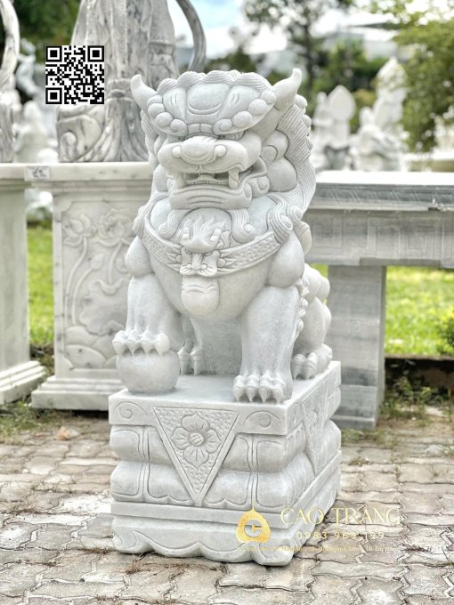 Lan cao 1m2 2