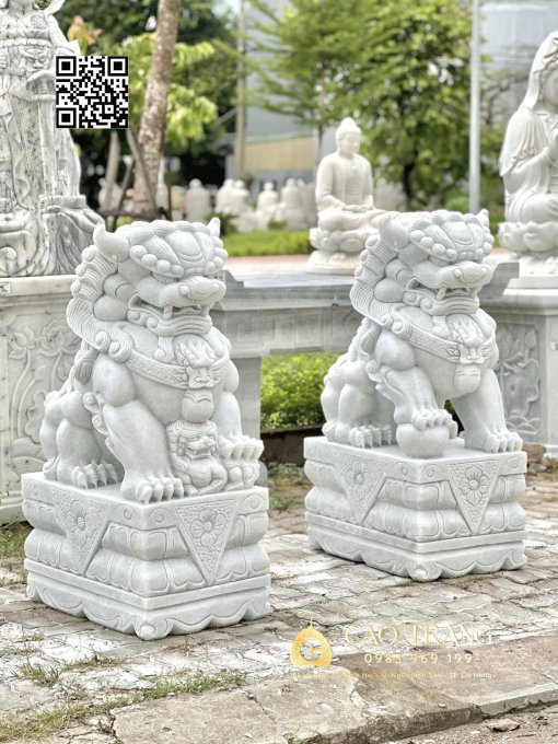 Lan cao 1m2 4