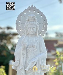 tuong quan am hao quang cao 1m1 7