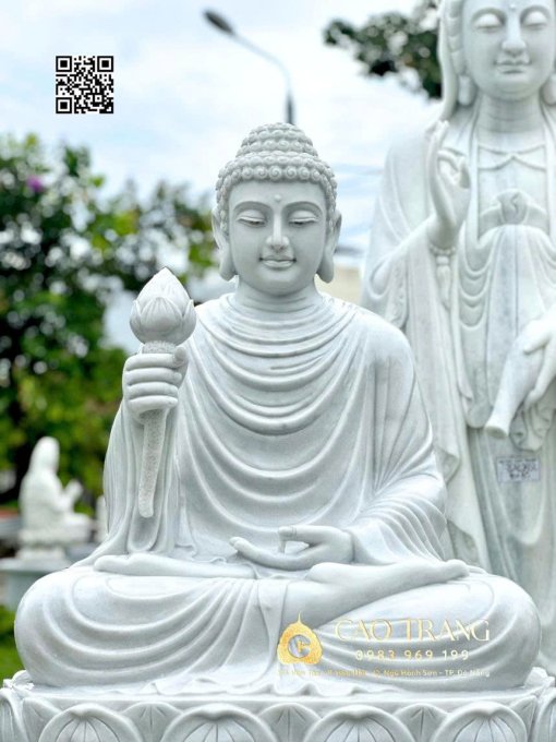 tuong thich ca niem hoa vi tieu cao 1m2 1