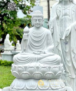 tuong thich ca niem hoa vi tieu cao 1m2 5