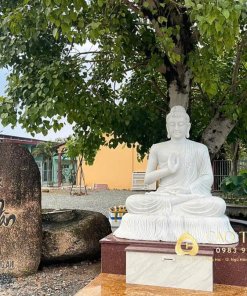 tuong phat thich ca chuyen phap luan cao 2m 6