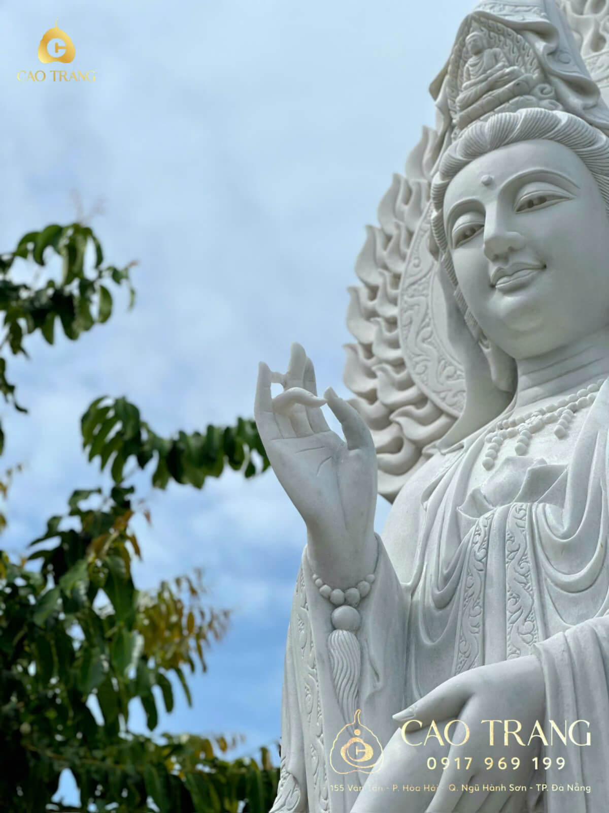 tuong quan am bo tat cao 5m 5